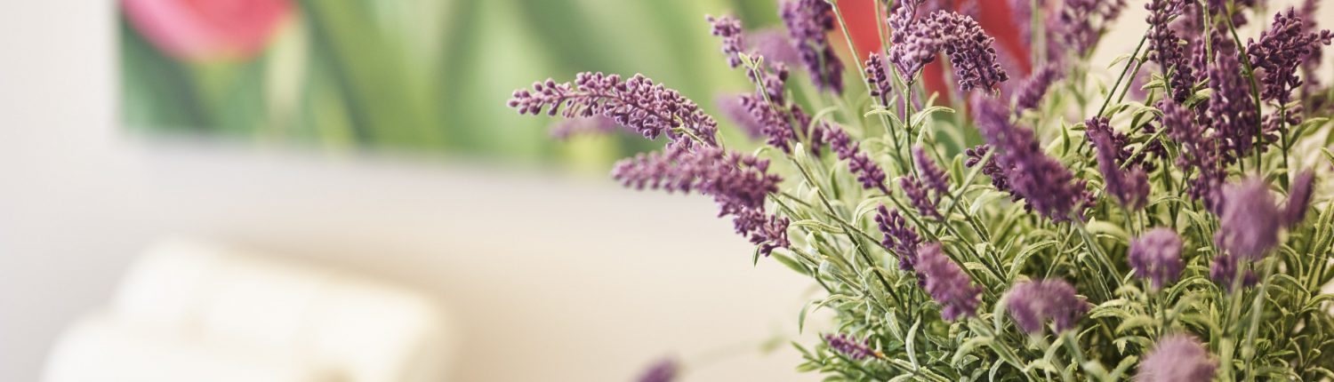 Praxisdetail HNO-Praxis Dr. Weinzierl Nürnberg Erlenstegen