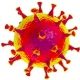 Coronavirus HNO