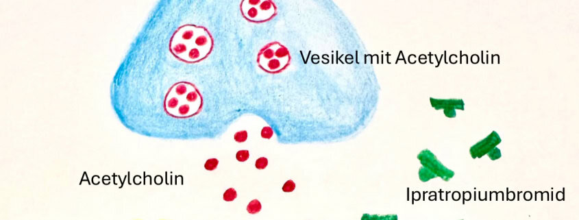 Antibakterielle Wirkstoffe gegen Sinusinfektionen, Nasenmittel & Ohrpflege bei HNO Dr. Weinzierl.