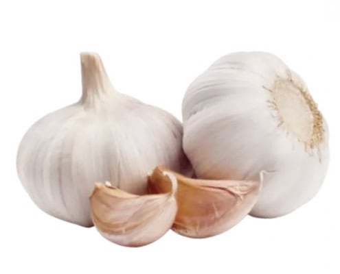 Mundgeruch Halitosis