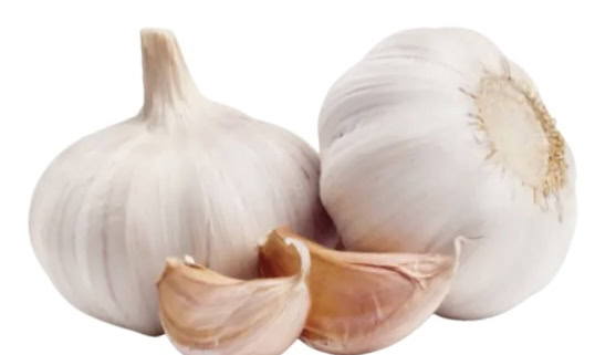 Mundgeruch Halitosis